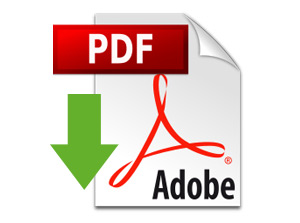 PDF