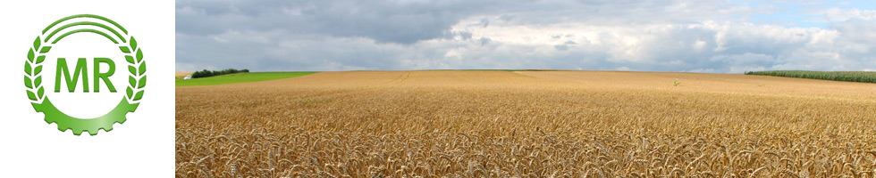 Maschinenring Maindreieck