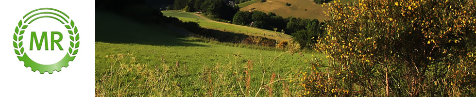 Maschinenring Maindreieck